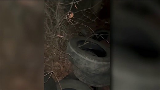 More than 50 tires dumped at DeKalb County church