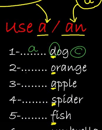 ‏#articles #englishlessons #englishgrammar #learnenglish