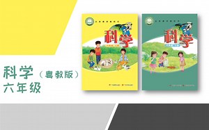 小学科学电子课本（粤教版）六年级高清版