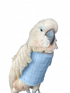 Bird Self Mutilation Vest - UnRuffledRx BeakGuard