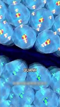 SỰ THẬT VỀ CON NGƯỜI #QQ88