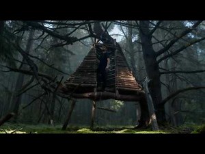 Building a Shelter High in the Trees | Bushcraft in the Forest