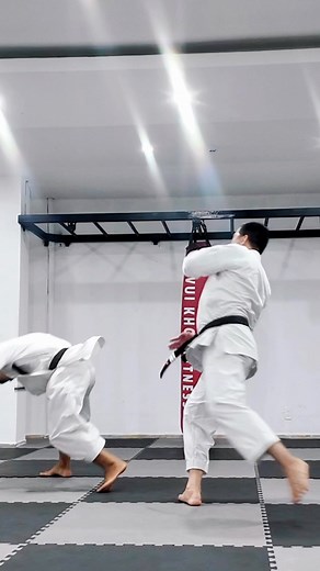 654K views · 13K reactions | Real techniques, real fight #loitrankarate | Loi Tran karate | Facebook