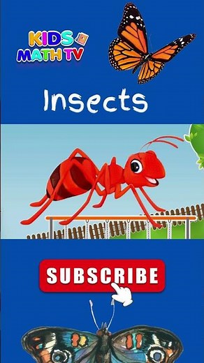 Insects for Kindergarten Video | What are Insects ? | #insects #educationalvideos