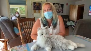 Robotic, interactive 'pets' helping adults with special needs