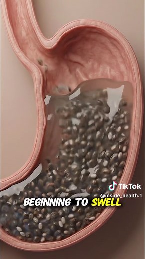 Benefits of Daily Chia Seeds for Your Stomach Health