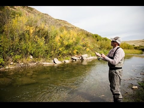 Talking Fly Lines for Fiberglass Rods with Simon Gawesworth and Tim Rajeff