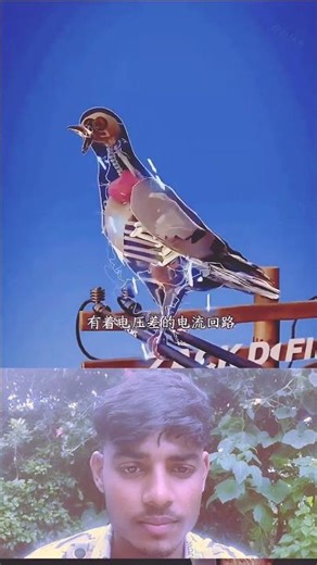 physical sigma electric kils #electronic #pawer