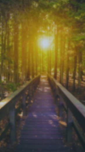 Experience matters at every step of the divorce process. | Law Offices of Steven A. Dinneen - San Jose Family Law Attorney | Facebook