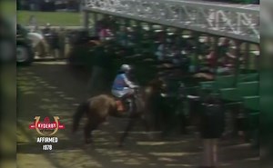 One of the rare horses in history to have raced three seasons or longer and earned divisional honors in each one, Affirmed’s fame grew in retirement and in the years following his death as he was the sport’s last Triple Crown winner for an unprecedented 37 years. Donate to support COVID-19 relief & pick the winner of the Triple Crown Showdown for a chance to win the Ultimate Kentucky Derby Experience at KentuckyDerby.com | Kentucky Derby