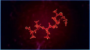 3D animation of a protein molecular structure.