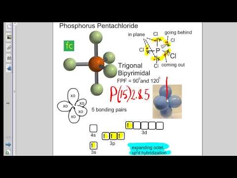 VSEPR theory explaining the shapes of molecules and molecular ions.