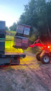 Arriving to the bee-yard and unloading the bees 🐝🐝🇨🇦 #beekeeping #honeybee #thursday | Apiary Worker