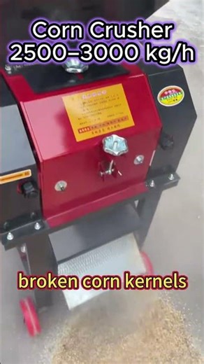 Heavy-Duty Corn Crusher for Animal Feed | Fast Crushing Demo#animalfeed #farmequipment #agriculture