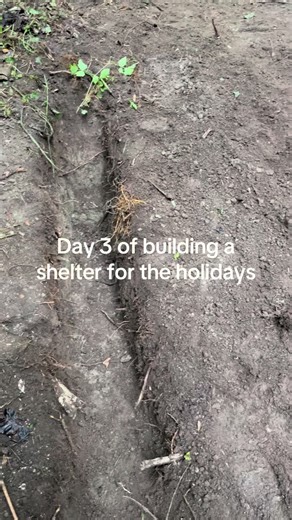 How to build a shelter (@howtobuildashelter)’s videos with original sound - 𝓥𝓻𝓸