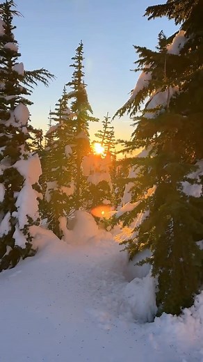 AllTrails on Instagram: "Whether you plan on strolling in a local park or trekking on the trails, #AllTrails has you covered  Use the Collections feature to find trails based on your preferences and start exploring today.  @leeshtravels Panorama Point via Skyline Trail, @mountrainiernps, Washington #pnwhiking #winterhiking #exploreoutside"