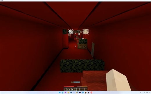 在我的世界里玩leve！