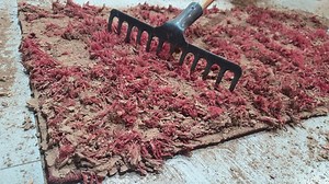 4.9K views · 93 reactions | Carpet with dry mud/full of terrible mud -ASMR Cleaning Rug#relaxing #asmr #satisfyingvideos #cleaning #asmrsounds #cleaningservice #ASMR | Magnus Rug Cleaning | Facebook