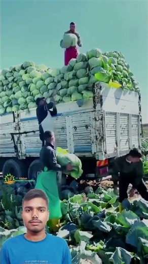 सब्जियों की खेती के लिए intercropping मॉडल 🍅 🍆| intercropping vegetables | Multi Crop Farming