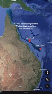 1.4K views · 12 reactions | Scenic flights over heart reef and Whitehaven beach are absolutely unmissable on your Airlie Beach trip ✈️ ✨ with multiple flights departing daily, don’t miss out and book through us to guarantee a seat 視 #greatbarrierreef #whitehaven #airliebeach #heartreef #scenicflight #bucketlisttravel | Sailing-Whitsundays.com | Facebook