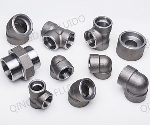[Hot Item] Carbon Steel/Stainless Steel Forged High Pressure Pipe Fittings 2024