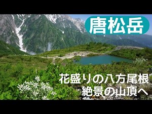 唐松岳 花盛りの八方尾根を歩き 絶景の山頂へ