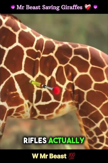Mrbeast Saving 1000 Animals ! Mrbeast Saves Giraffes ! #mrbeast #vyropartner