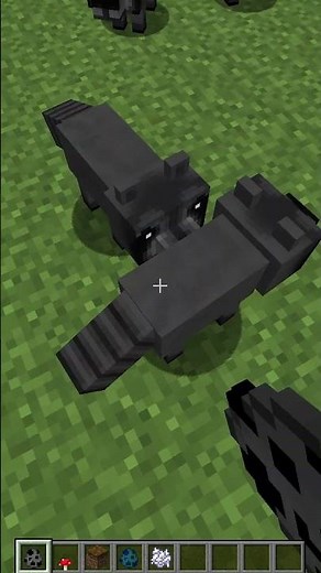 Badger Badger Badger Badger 🦝