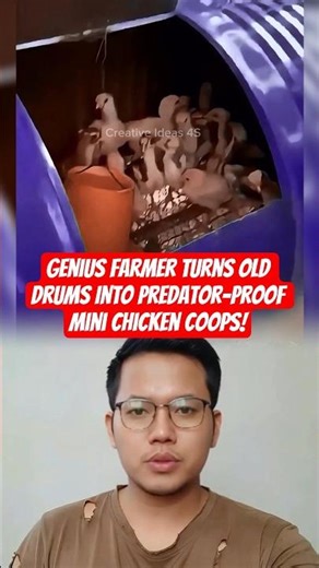 Genius Farmer Turns Old Drums Into Predator-Proof Mini Chicken Coops! #shorts