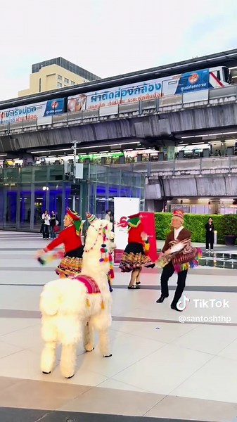 #peru🇵🇪🦙🌴 so beautiful dance ✝️ 🇨🇭 🫶 🕊️ 📖 💙 🌎 @PeruPines (ペルピンズ)