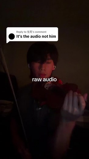 Carol of the Bells violin raw audio cover