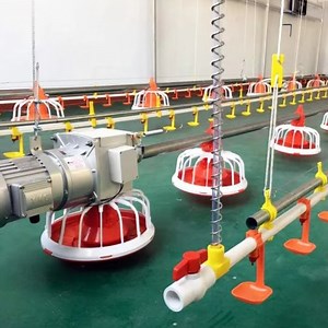 [Hot Item] Fully Automatic Poultry Breeding System Chicken Raising Machine