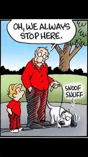 Funny Comics | Comics World