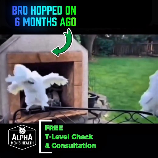 ➡️ Get a FREE Testosterone Level Check at DFW's Best Rated Men's Clinic ⚡ In & Out in 5 Minutes | No Hidden Fees | Physician-Led Care | ALPHA Men's Health