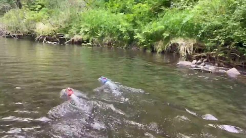 BEZGAR Remote Control Boat, 2 Packs 10 inch Fast Speed RC Boat 15 KPH for Pools & Salt Water, Summer Toys for Adults and Ideal Gifts for Kids Boys Age 6 7 8-12 Years Old - HJ821