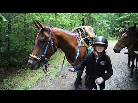 Discover Endurance Riding! Learn more at AERC.org