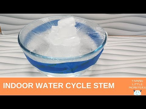 Water Cycle Science Activity for Kids