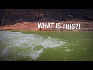 Underwater Avalanche?! Turbidity current at Lake Powell