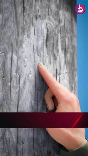 Natural Splinter Removal Hacks #shorts #fyp