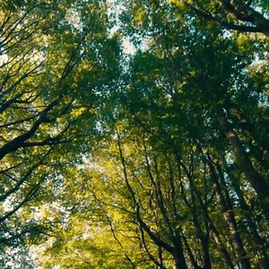 202K views · 4.7K reactions | One word - Bulgaria ! <3 | Visit Bulgaria | Facebook