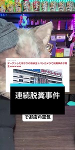 池袋にオープンしたばかりのヨドバシカメラで脱糞事件が連日起こりネットで計画的にやられている可能性を聞いてみんなに推理してみらう猫ちゃん #ねこ