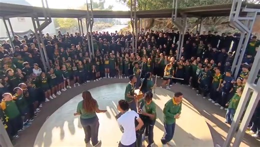 13K views · 198 reactions | HISTORY IN THE MAKING!  Our Springbok...