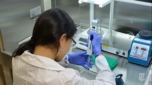 1.1M views · 190 reactions | For the famed snow monkeys, a troop of Japanese macaques that live near Nagano, soaking in hot springs eases the stress of cold winters. But how did they come to adopt this habit? https://nyti.ms/2H4BAjX | ScienceTake | Facebook