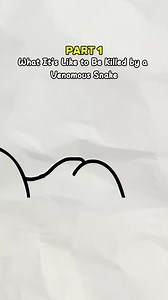 Kelevin (@kelevinga)’s video of Boomslang Snake