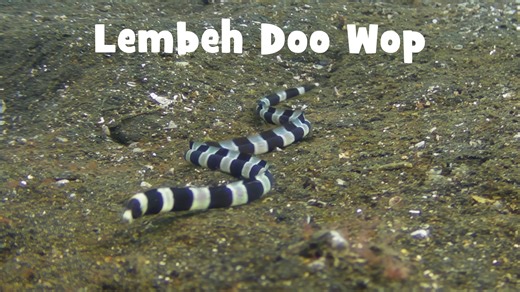 Lembeh Doo Wop