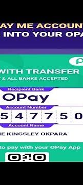 How to get your OPAY account details after signing up