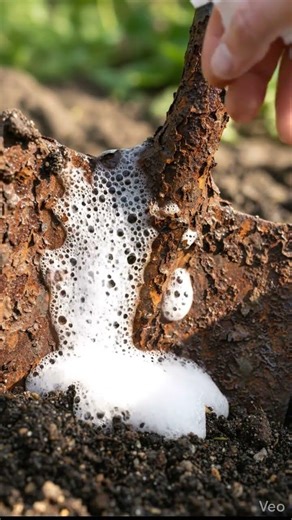 Rusted Garden Shovel Restored to Chrome Finish (Real-Time Macro)