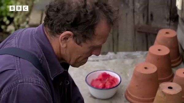 25K views · 1.2K reactions | BBC Gardeners World on Reels | Facebook