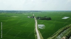 Aerial view of Rural Area and Rice Fields in Bangladesh, Aerial of rural Bangladesh with rice paddy fields, Green paddy field aerial landscape view in Bangladesh.