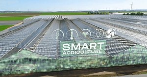 Smart agriculture. Visualization of modern greenhouses. The concept of modern industrial greenhouses.